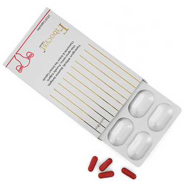 https://cdn.shopify.com/s/files/1/1857/6931/files/eK5xwmwwzK.png?v=1727784440